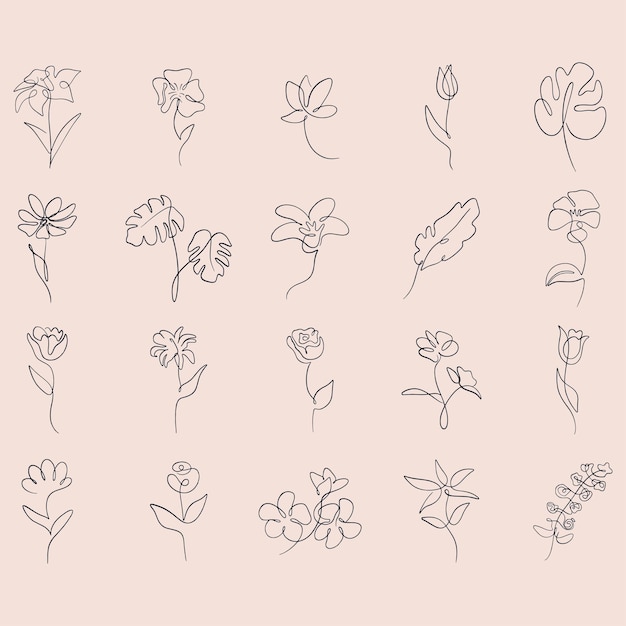 Illustrazione di fiori in linea minimalista