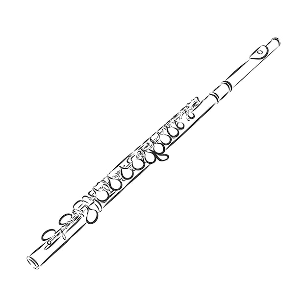 Illustrazione di flauto, disegno, incisione, inchiostro, line art, vector
