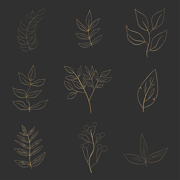 Illustrazione di foglie d'oro vettore foglia d'oro