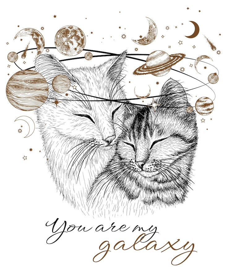 Vettore illustrazione di gatti innamorati di una galassia di pianeti e stelle nello stile dell'incisione