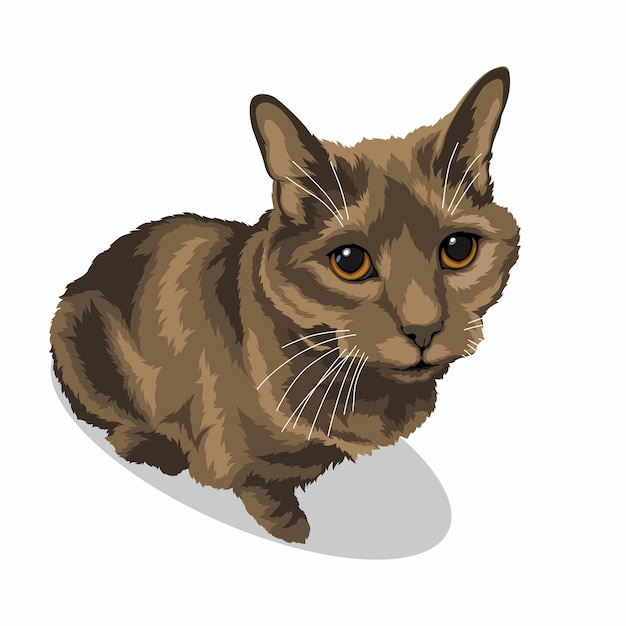 illustrazione di gatto