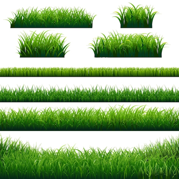Illustrazione di grande insieme dei bordi dell'erba verde