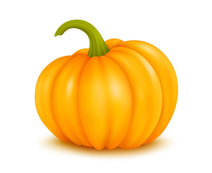 Vettore illustrazione di grande zucca su sfondo bianco