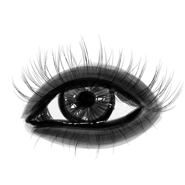illustrazione di moda dell'occhio con ciglia lunghe e piene