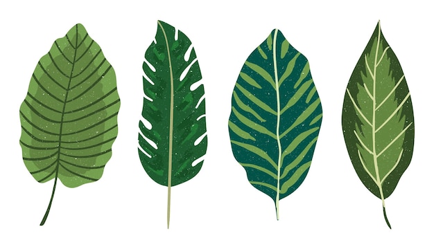 Illustrazione di piante domestiche disegnata a mano con consistenza granulosa