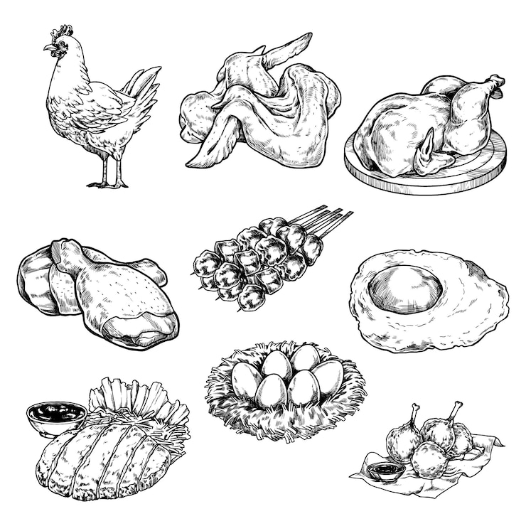 Vettore illustrazione di prodotti di pollo d'epoca