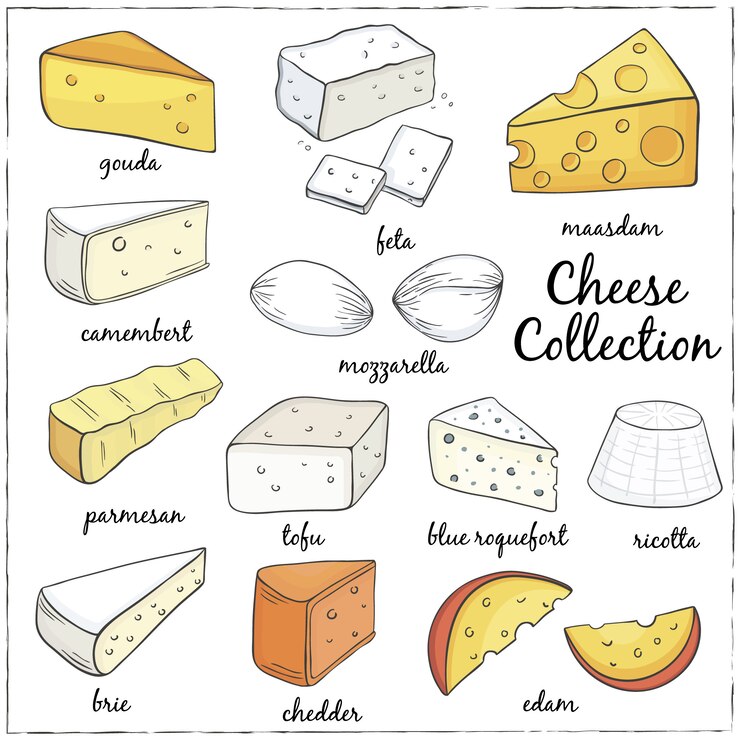 Vettore illustrazione di raccolta del formaggio