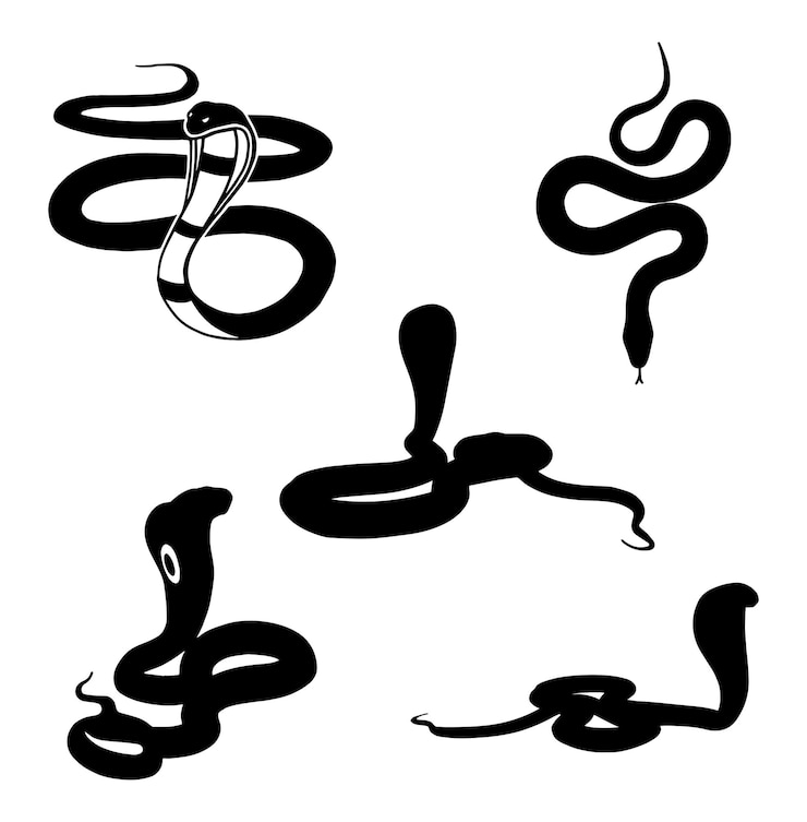 Vettore illustrazione di serpente velenoso in bianco e nero