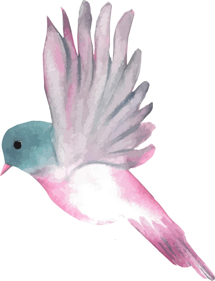 Vettore illustrazione di uccelli volanti