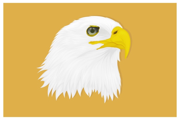 Illustrazione di un'aquila con uno sguardo acuto rivolto verso il lato del disegno a mano