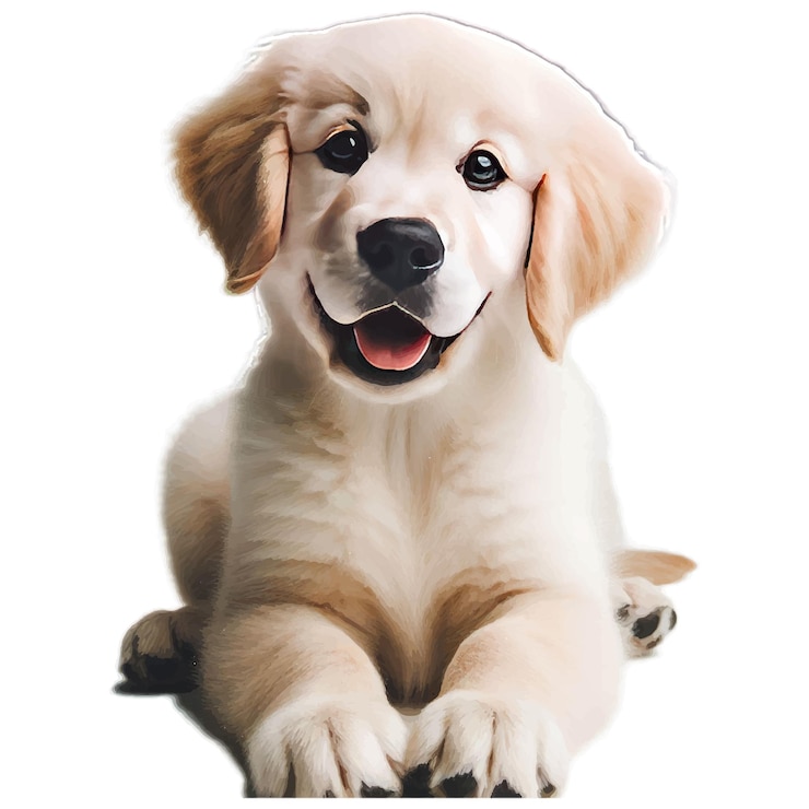 Vettore illustrazione di un cucciolo di golden retriever