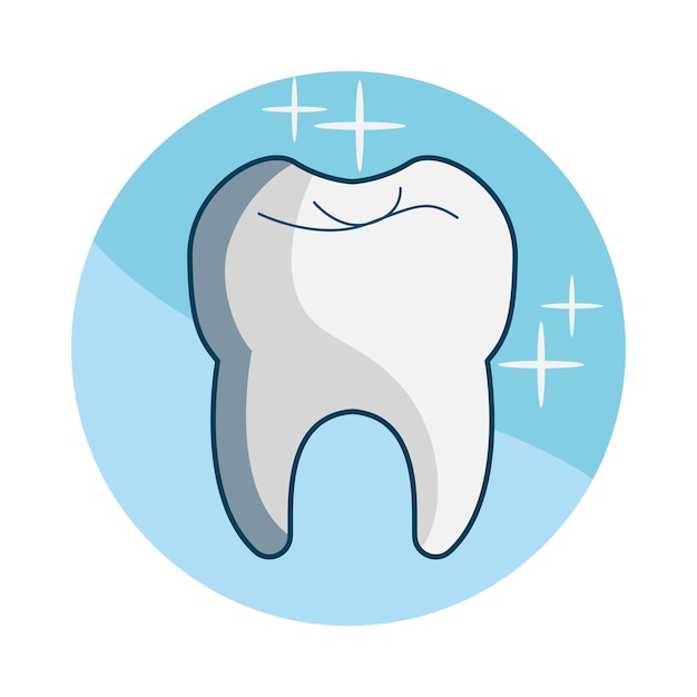 Illustrazione di un dente