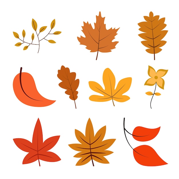 Illustrazione di un disegno a foglia con un tema autunnale