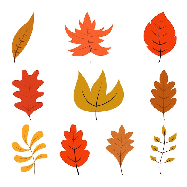 Illustrazione di un disegno a foglia con un tema autunnale