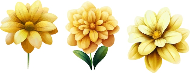 Illustrazione di un fiore giallo