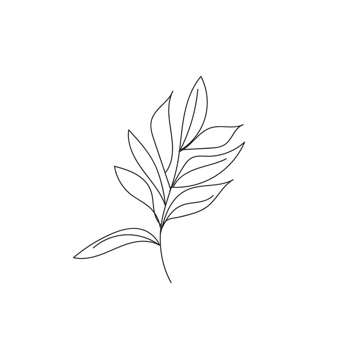 Vettore illustrazione di un fiore minimalista con un disegno a tratteggio in stile art line