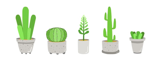 Illustrazione di una raccolta di varianti di piante di cactus