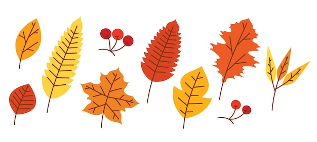 Illustrazione di vettore degli elementi delle foglie di autunno
