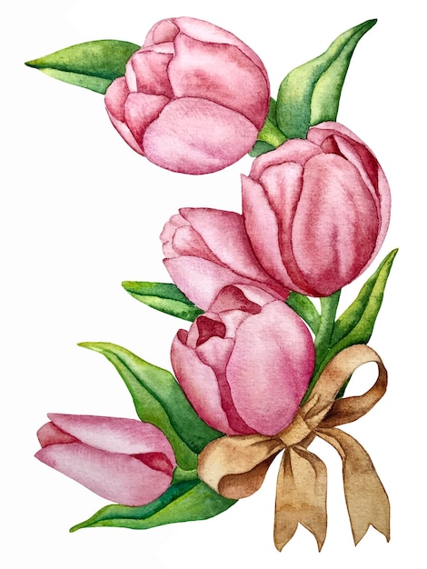 Illustrazione di vettore dell'acquerello della corona dei tulipani