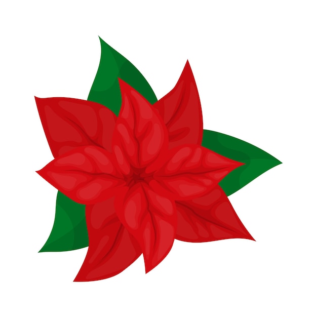 Illustrazione di vettore della pianta di natale del fiore della stella di Natale. Ghirlanda di agrifoglio di buon natale. Simbolo di vacanza. Bellissimo fiore di poinsettia, ottimo design per qualsiasi scopo. Bordo floreale. Corona di vacanza.