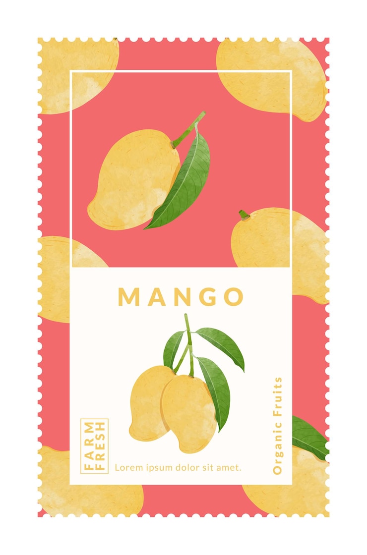 Vettore illustrazione di vettore di stile dell'acquerello dei modelli di progettazione dell'imballaggio del mango