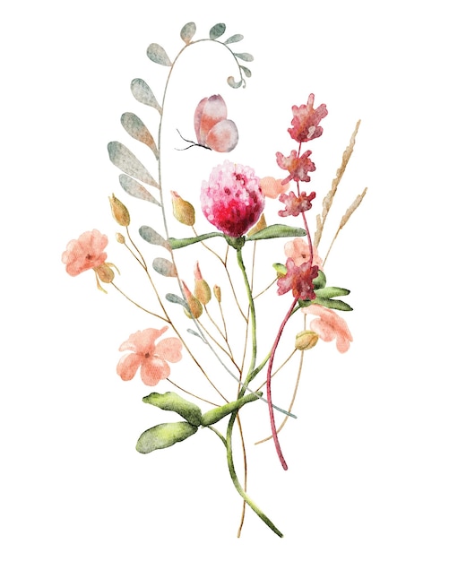 Illustrazione disegnata a mano botanica del mazzo del trifoglio dell'acquerello dei fiori selvaggi