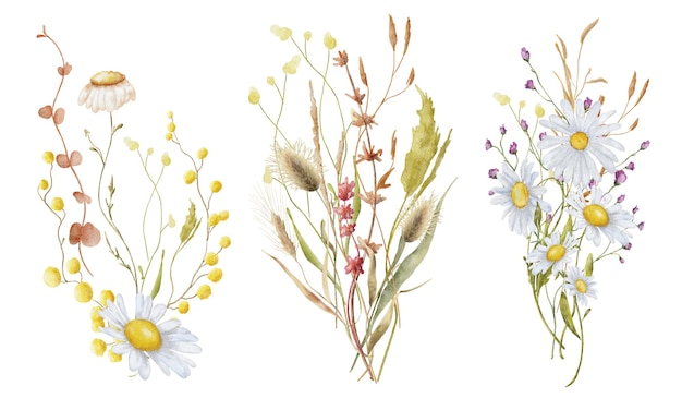 Illustrazione disegnata a mano botanica del mazzo dell'acquerello dei fiori selvaggi