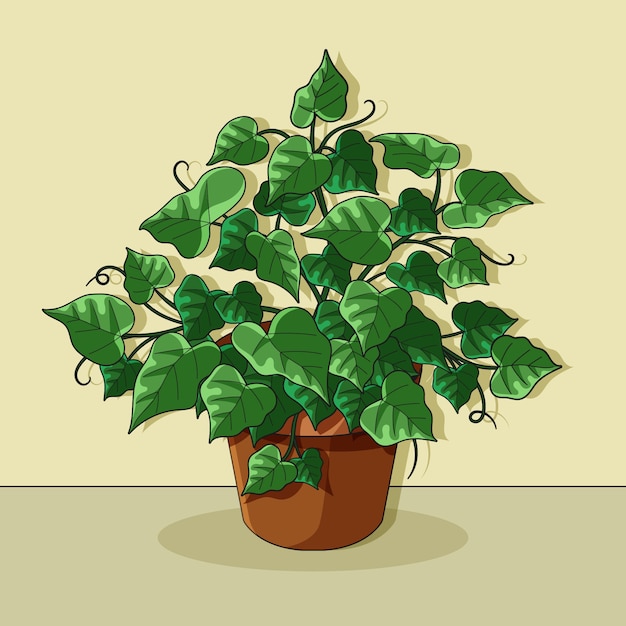 Illustrazione disegnata a mano con l'edera