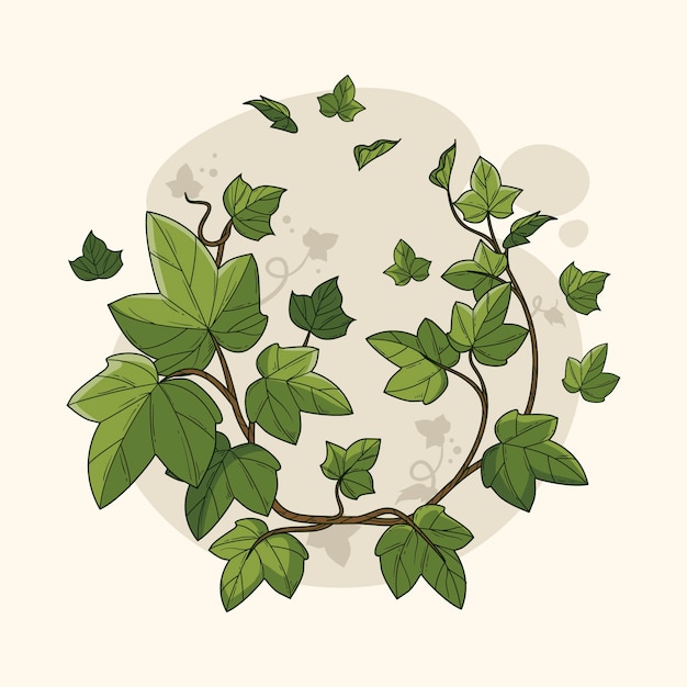Illustrazione disegnata a mano con l'edera