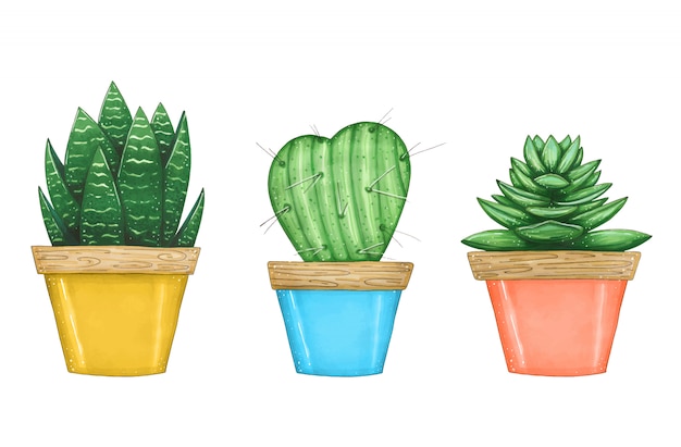 Illustrazione disegnata a mano con set di piante di casa in vasi di colore.