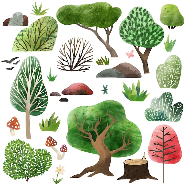 Illustrazione disegnata a mano degli elementi della foresta dell'acquerello