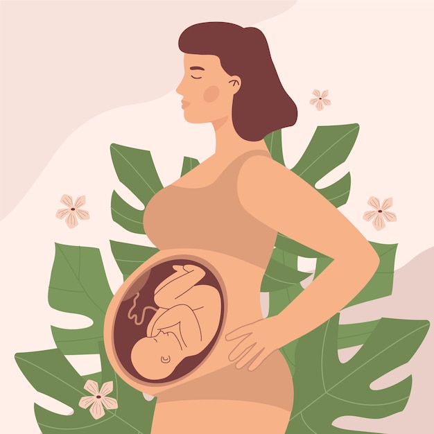 Illustrazione disegnata a mano del feto