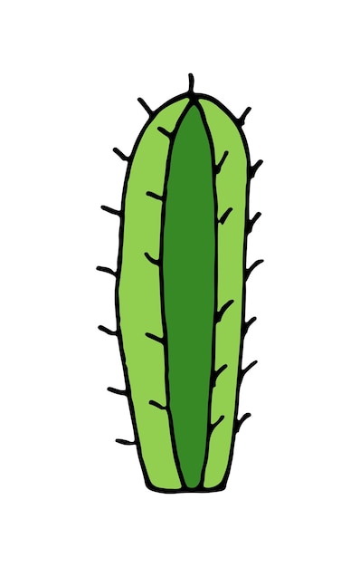 Illustrazione disegnata a mano del fumetto di doodle di vettore del cactus