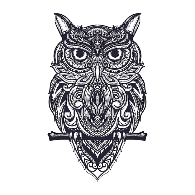 Illustrazione disegnata a mano del gufo dello zentangle
