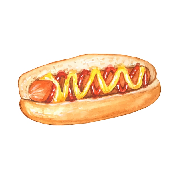 Illustrazione disegnata a mano dell'acquerello di hot dog