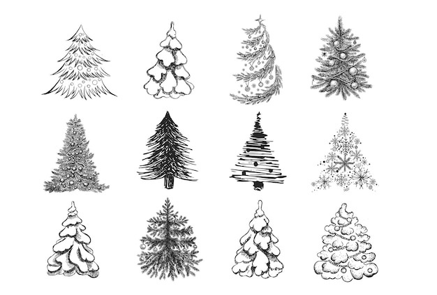 Illustrazione disegnata a mano dell'albero di Natale