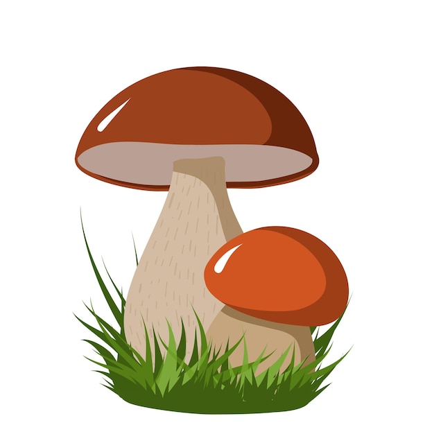 Illustrazione disegnata a mano di clipart vettoriali di funghi autunnali