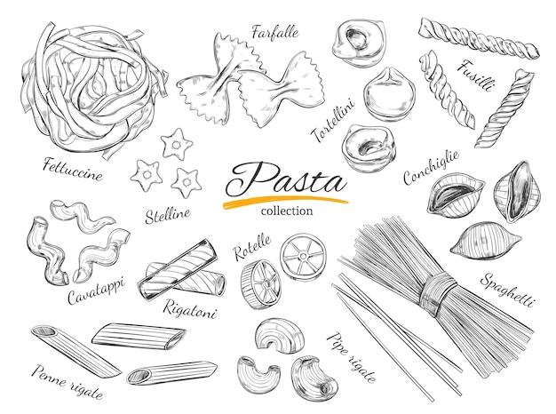 Illustrazione disegnata a mano di pasta italiana nello stile di abbozzo.