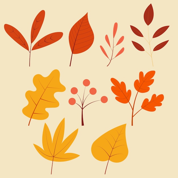 illustrazione foglie d'autunno, per illustrazione, banner, volantino, uso commerciale, ecc