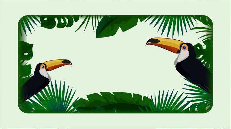 Vettore illustrazione foglie tropicali uccelli toukanes su sfondo bianco