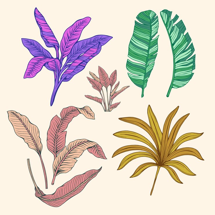 Vettore illustrazione grafica vettoriale con motivo floreale a foglia