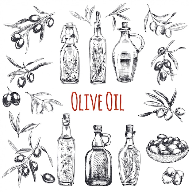 illustrazione incisa olive disegnate a mano