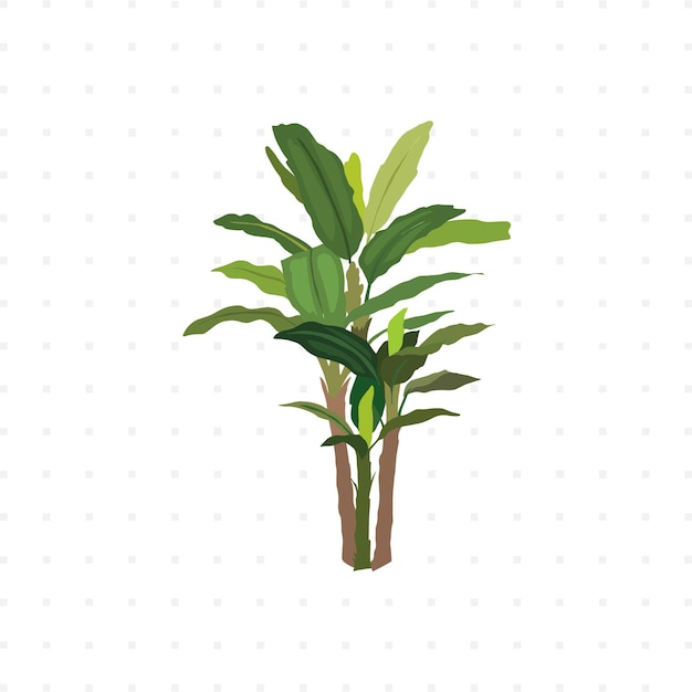 Illustrazione isolata dell'albero di Ficus