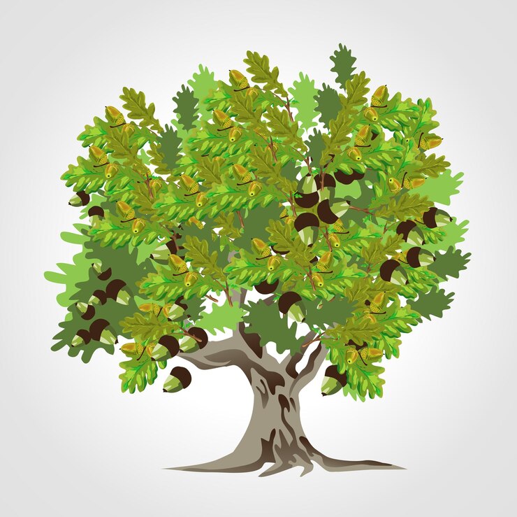 Vettore illustrazione isolata dell'albero di quercia