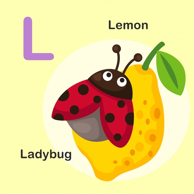 Illustrazione isolato alfabeto animale Lettera L-Lemon, Ladybug