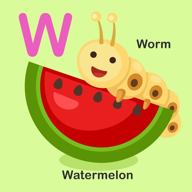 Illustrazione isolato alfabeto animale lettera W-Watermelon, verme