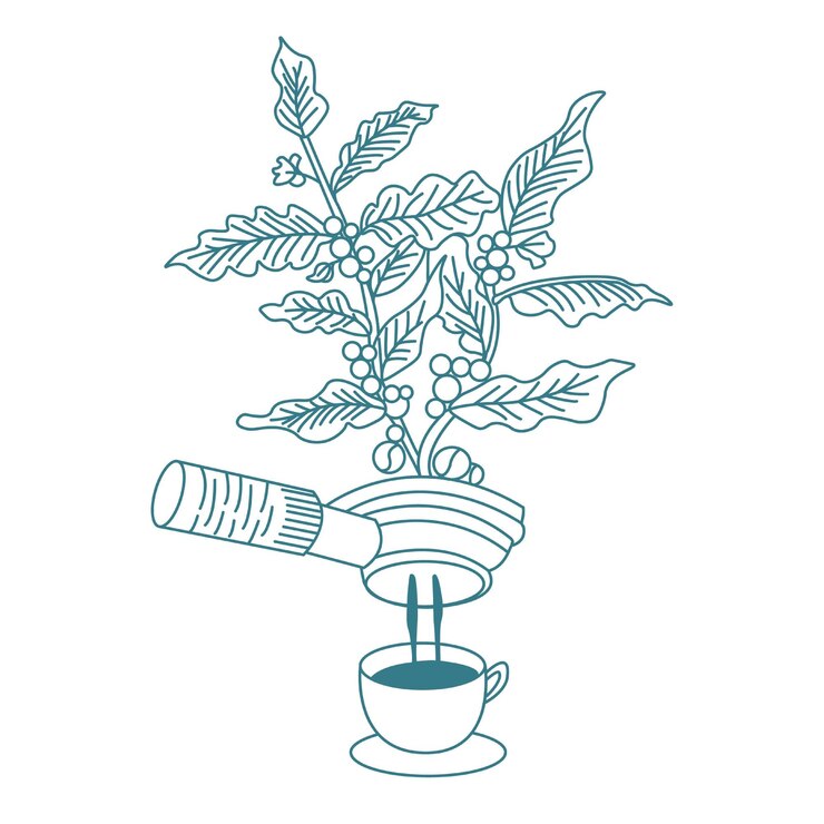 illustrazione linea arte foglia caffè