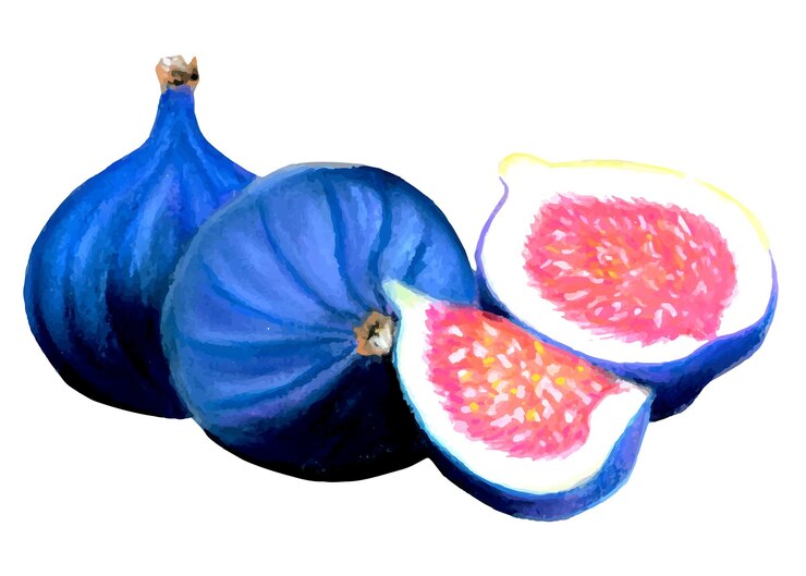 Vettore illustrazione pastello di fette di fichi