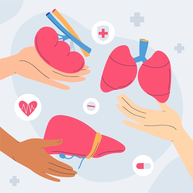 Illustrazione piatta per la giornata mondiale della donazione di organi