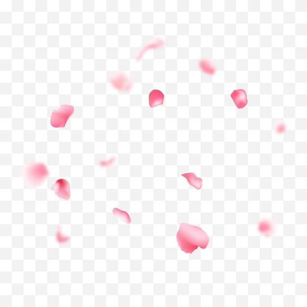 Illustrazione realistica dei petali rosa sakura cadenti vettoriali